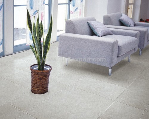 Floor_Tile--Porcelain_Tile,600X600mm[GX],C65500_VIEW